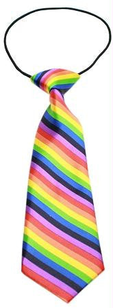 Big Dog Neck Tie Rainbow
