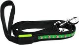 LED Dog Leash Santa 1 inch wide by 4 Feet