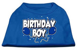 Birthday Boy Screen Print Shirts Blue Lg (14)