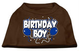 Birthday Boy Screen Print Shirts Brown Lg (14)