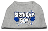 Birthday Boy Screen Print Shirts Grey Lg (14)