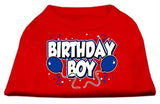 Birthday Boy Screen Print Shirts Red Sm (10)