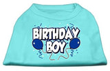 Birthday Boy Screen Print Shirts Aqua XS (8)