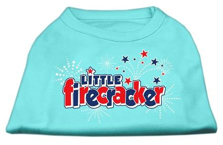 Little Firecracker Screen Print Shirts Aqua M (12)