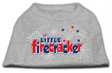 Little Firecracker Screen Print Shirts Grey XS (8)