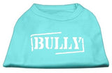 Bully Screen Printed Shirt  Aqua XXL (18)