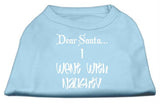 Dear Santa I Went with Naughty Screen Print Shirts Baby Blue Lg (14)