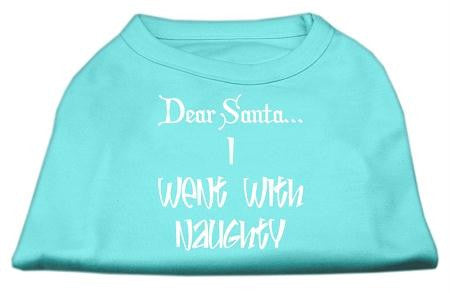 Dear Santa I Went with Naughty Screen Print Shirts Aqua XS (8)