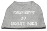 Property of North Pole Screen Print Shirts Grey L (14)