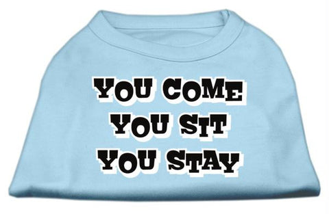 You Come, You Sit, You Stay Screen Print Shirts Baby Blue L (14)