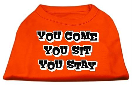 You Come, You Sit, You Stay Screen Print Shirts Orange Sm (10)