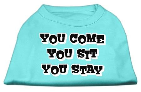 You Come, You Sit, You Stay Screen Print Shirts Aqua XS (8)