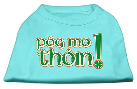 Pog Mo Thoin Screen Print Shirt Aqua Lg (14)