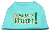 Pog Mo Thoin Screen Print Shirt Aqua XS (8)