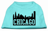 Chicago Skyline Screen Print Shirt Aqua Lg (14)