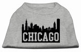 Chicago Skyline Screen Print Shirt Grey Lg (14)