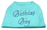 Birthday Boy Rhinestone Shirts Aqua L (14)