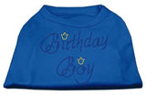 Birthday Boy Rhinestone Shirts Blue Lg (14)