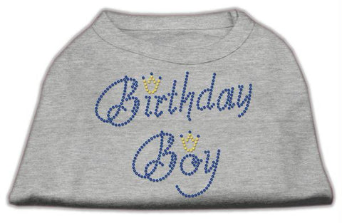 Birthday Boy Rhinestone Shirts Grey XS (8)