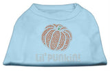 Lil' Punkin' Rhinestone Shirts Baby Blue L (14)