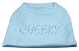 Cheeky Rhinestone Shirt Baby Blue XS (8)