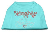 Naughty But Nice Rhinestone Shirts Aqua L (14)