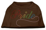 Rainbow Pride Rhinestone Shirts Brown Sm (10)