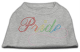 Rainbow Pride Rhinestone Shirts Grey XS (8)