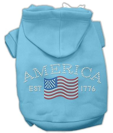 Classic American Hoodies Baby Blue XS (8)