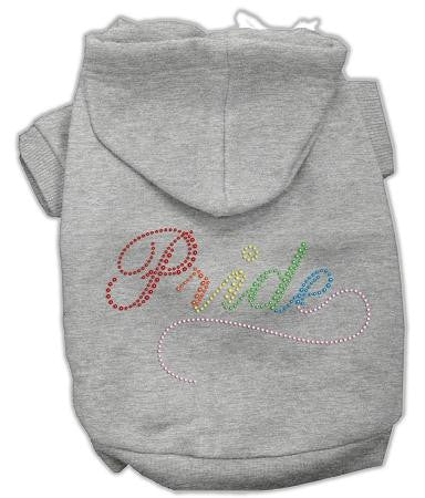 Rainbow Colored Pride Hoodies Grey S (10)