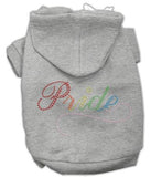 Rainbow Colored Pride Hoodies Grey XS (8)