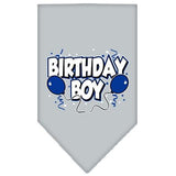 Birthday Boy Screen Print Bandana Grey Large