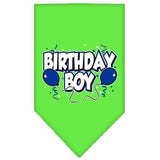 Birthday Boy Screen Print Bandana Lime Green Small