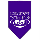 Up to No Good Screen Print Bandana Purple Small