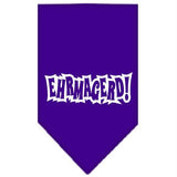 Ehrmagerd Screen Print Bandana Purple Large