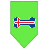 Bone Flag Iceland  Screen Print Bandana Lime Green Small