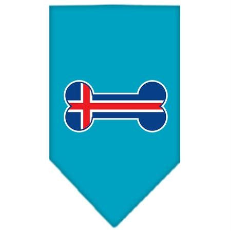 Bone Flag Iceland  Screen Print Bandana Turquoise Small