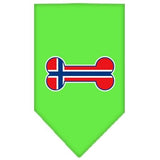 Bone Flag Norway  Screen Print Bandana Lime Green Large