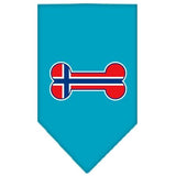 Bone Flag Norway  Screen Print Bandana Turquoise Small