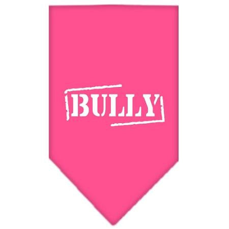 Bully Screen Print Bandana Bright Pink Large