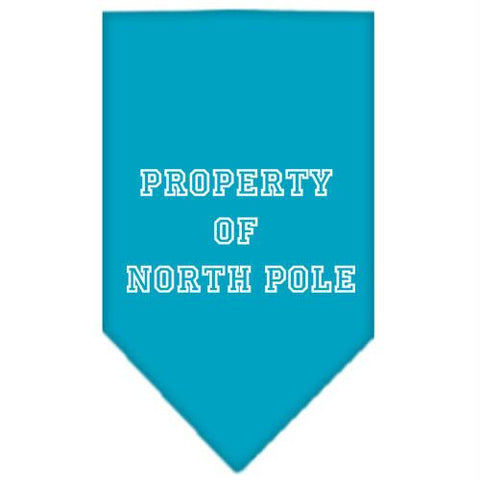 Property of North Pole Screen Print Bandana Turquoise Large