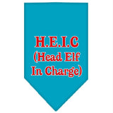 Head elf In Charge Screen Print Bandana Turquoise Large