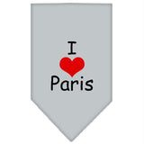 I Heart Paris  Screen Print Bandana Grey Small
