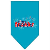 Little Firecracker Screen Print Bandana Turquoise Large
