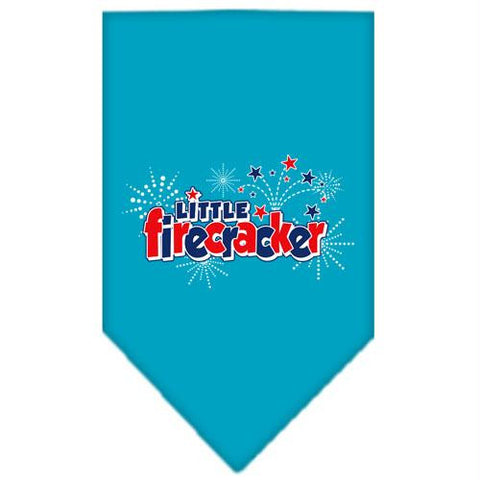 Little Firecracker Screen Print Bandana Turquoise Large