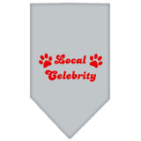 Local Celebrity Screen Print Bandana Grey Small