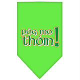 Pog Mo Thoin Screen Print Bandana Lime Green Small