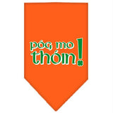 Pog Mo Thoin Screen Print Bandana Orange Small
