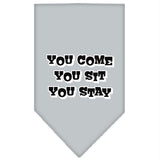 You Come, You Sit, You Stay Screen Print Bandana Grey Large