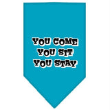 You Come, You Sit, You Stay Screen Print Bandana Turquoise Large